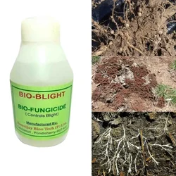 ROM 1 liter Bio Blight | Used to Control Foliar and Soil Borne Bacterial Diseases